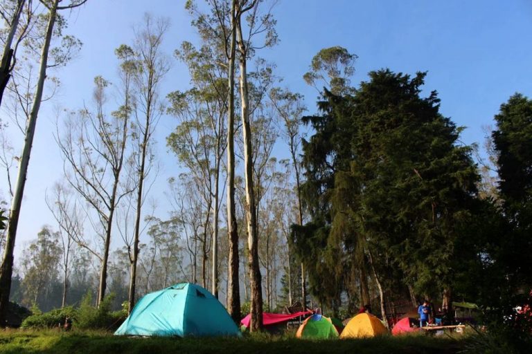 Informasi Seputar Camping: Panduan Lengkap untuk Petualangan Alam yang Menyenangkan